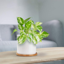 Hochwertige billige weiße dauerhafte Keramikblüte und Pflanzer Keramikpflanztöpfe für Innenpflanzen